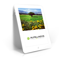 Almillagos - Habitatges sostenibles